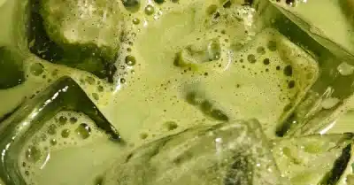 Where to Drink the Best Matcha in Abu Dhabi? 