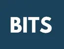 BITS REAL ESTATE BROKERS
