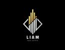 Liam Real Estate L.l.c