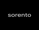 SORENTO REAL ESTATE L.L.C