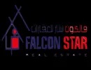 Falcon Star Real Estate