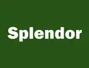 SPLENDOR REAL ESTATE BROKERAGE L.L.C