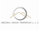 Credible Choice Properties
