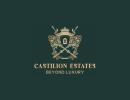 CASTILION REALTY L.L.C