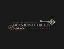DIAMOND HILLS REAL ESTATE L.L.C