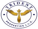 TRIDENT PROPERTIES L.L.C