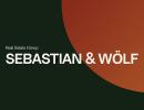 SEBASTIAN AND WOLF REAL ESTATE L.L.C
