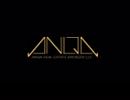 ANQA REAL ESTATE BROKER L.L.C