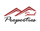 SOUL PROPERTIES L.L.C