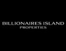 BILLIONAIRES ISLAND PROPERTIES L.L.C