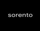 SORENTO REAL ESTATE L.L.C