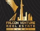 FALCON VENTURE REAL ESTATE L.L.C