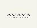 AVAYA PROPERTIES L.L.C