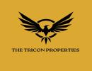 THE TRICON PROPERTIES L.L.C