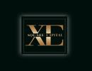 XE SQUARE CAPITAL REAL ESTATE L.L.C