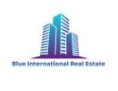 Blue International Real Estate LLC