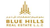 Blue Hills Real Estate LLC logo image