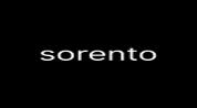 SORENTO REAL ESTATE L.L.C logo image SORENTO REAL ESTATE L.L.C logo image