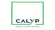 شعار المطور CALYP COWORKING BUSINESS CENTERS