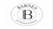 Barnes International Realty logo image Barnes International Realty logo image