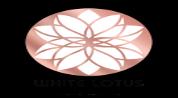 WHITE LOTUS REAL ESTATE logo image