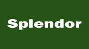 Splendor Real Estate Brokerage L.l.c logo image