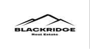 Black Ridge Real Estate LLC logo image Black Ridge Real Estate LLC logo image