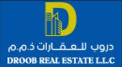 Droob Real Estate logo image