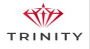 TRINITY REAL ESTATE L.L.C logo image