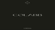 COLABB REAL ESTATE L.L.C logo image