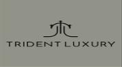 Trident Luxury Real Estate L.L.C logo image Trident Luxury Real Estate L.L.C logo image