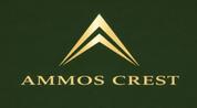 AMMOS CREST REAL ESTATE L.L.C logo image