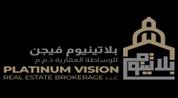 PLATINUM VISION REAL ESTATE logo image