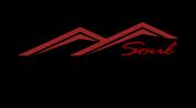 SOUL PROPERTIES L.L.C logo image SOUL PROPERTIES L.L.C logo image