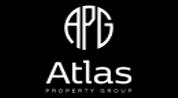 APG REAL ESTATE logo image