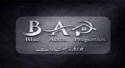 Blue Acres Properties logo image