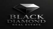 BDG REAL ESTATE L.L.C logo image