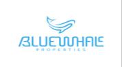 BLUEWHALE PROPERTIES logo image