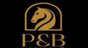 PNB LIVING Holiday Homes L.L.C logo image