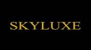 SKYLINE LUXURY REAL ESTATE L.L.C logo image