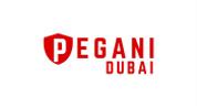 PEGANI REAL ESTATE L.L.C logo image PEGANI REAL ESTATE L.L.C logo image