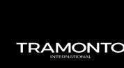 Tramonto International Real Estate logo image