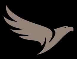 SWISS INVICTUS PROPERTY & INVEST L.L.C