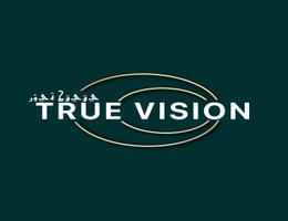 TRUE VISION PROPERTIES L.L.C TRUE VISION PROPERTIES L.L.C