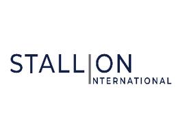 STALLION INTERNATIONAL REAL ESTATE L.L.C