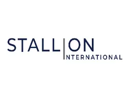 STALLION INTERNATIONAL REAL ESTATE L.L.C STALLION INTERNATIONAL REAL ESTATE L.L.C
