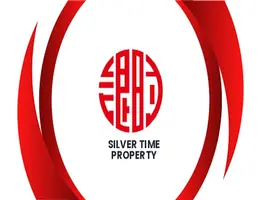 Silver Time Properties