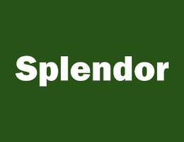 Splendor Real Estate Brokerage L.l.c