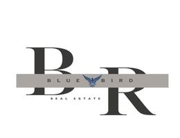 BLUE BIRD REAL ESTATE MANAGEMENT - SOLE PROPRIETORSHIP L.L.C. BLUE BIRD REAL ESTATE MANAGEMENT - SOLE PROPRIETORSHIP L.L.C.