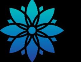 BASERA PROPERTIES L.L.C